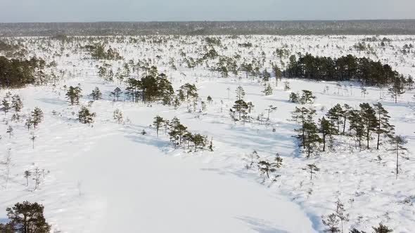 Aerial drone view of a snow-covered bog while it is snowing. Recorded in Valgeraba, Soomaa, Estonia