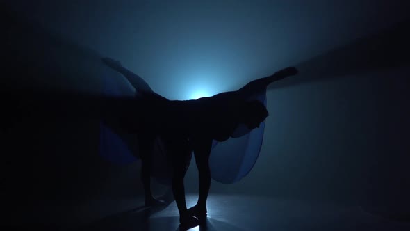 Slow Motion of Silhouettes Wonderful Ballerinas Dancing Modern Ballet