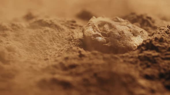 Chip Cake Cookies with Chocolate Pieces Falling Into Cacao Powder