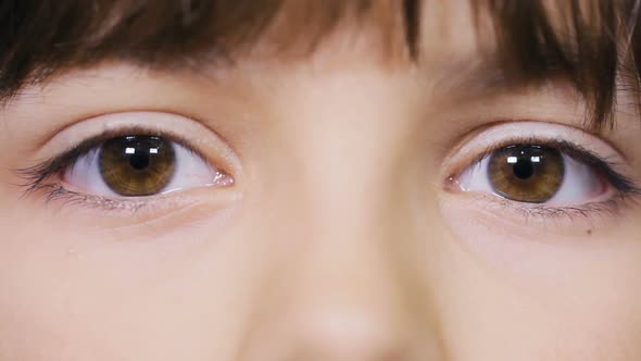 Beautiful Girl's Eyes. Human Eyes