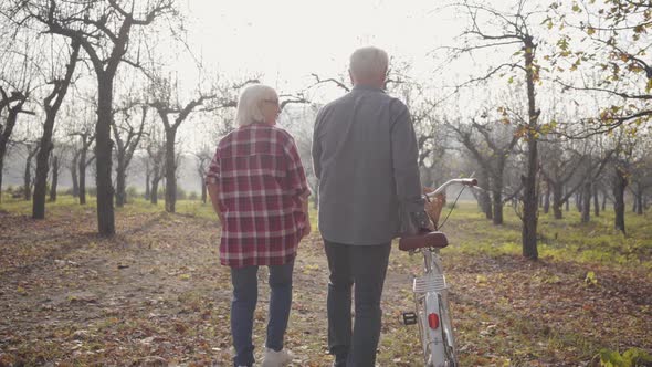 Back View of Senior Caucasian Couple Walking with Bicycle in the Foggy Forest. Happy Retired Senior