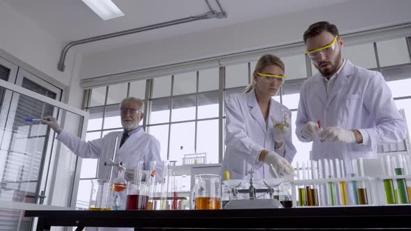 Scientist Work with Science Equipment in Laboratory