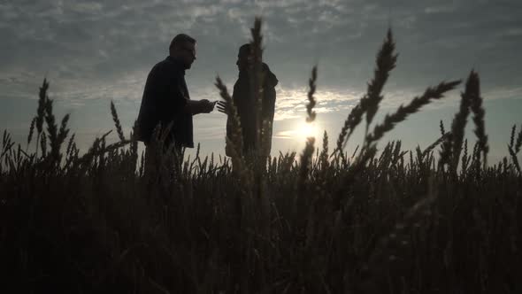 Businessman and Agronomist are Working in the Field Against the Sunset