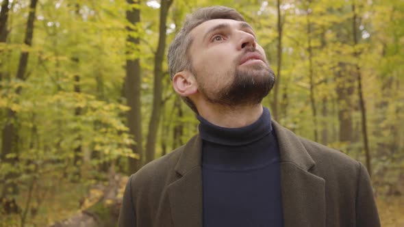 Close-up of a Handsome Adult Caucasian Man Standing in the Forest and Looking Up