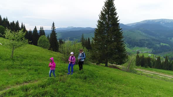 Aerial Shot, Family Walking Along, Spring Day in Forest