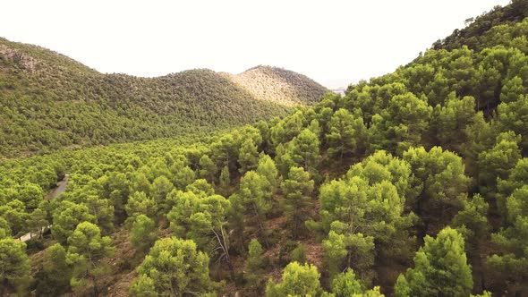 Dense Forest Covered With Various Deciduous Trees On Steep Mountain Slopes. - Drone Shot
