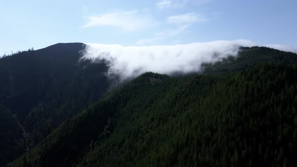 Advection fog slowly creeps over an evergreen covered mountain slope, aerial orbit