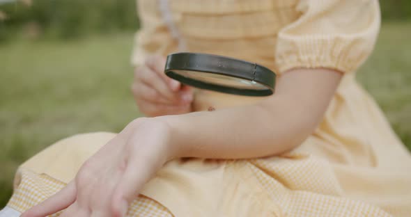 Children Discover with a Magnifying Glass an Insect Studies Nature Plant Looks