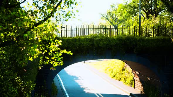 Arch Bridge with Living Bush Branches in Park