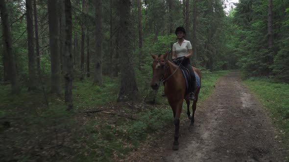 Young Female on Horseback Riding in the Forest Horse Walking Along a Forest Path Horsewoman Ride on