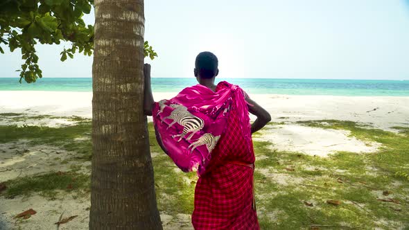 Native african maasai man leaning on palm tree, watching ocean.