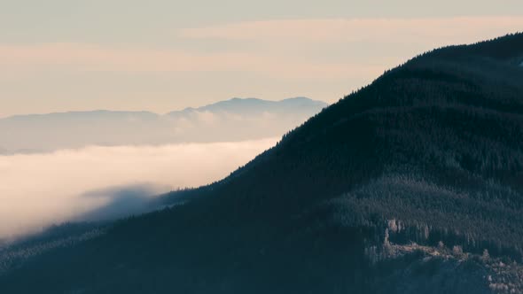 Distant dark mountain hills covered with dense pine forest surrounded with white foggy clouds