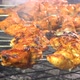 Barbeque chicken tikka roasting on glowing coals  - VideoHive Item for Sale