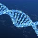 DNA Helix Background Loop - VideoHive Item for Sale