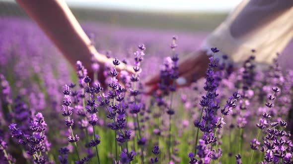 A Young Woman Gently Caresses Lavender Bushes with Her Hand in a Boho Style Bracelet