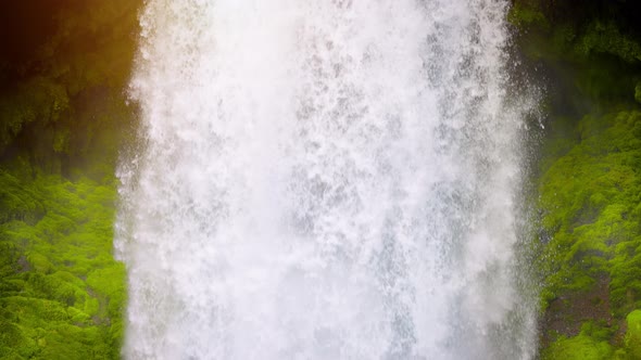 Beautiful Sahalie Falls In Oregon