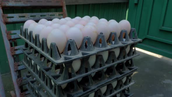 Stacks of black plastic egg flats full of eggs sitting next to door of industrial factory