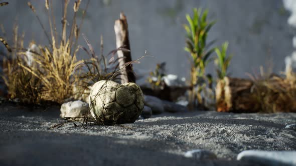 An Old Torn Soccer Ball Thrown Lies on Sand of Sea Beach alt