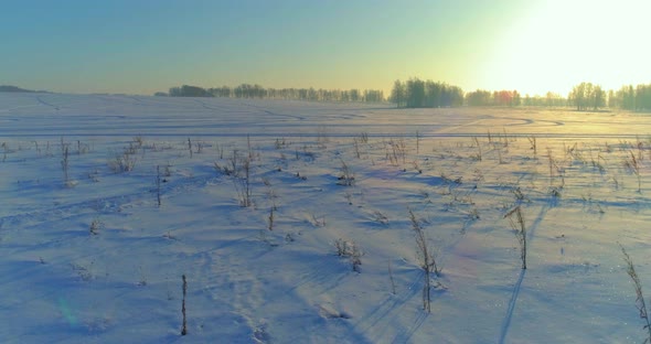 Aerial Drone View of Cold Winter Landscape with Arctic Field, Trees Covered with Frost Snow and