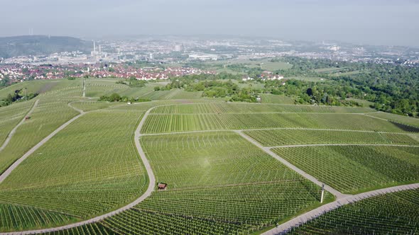 Drone view of vineyards and the city of Kappelberg in Germany