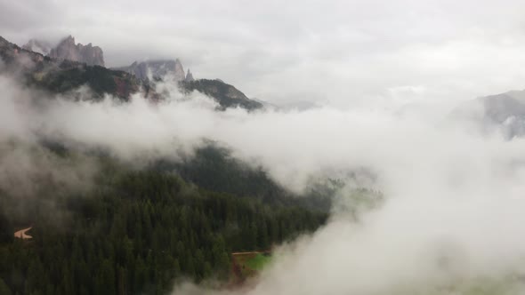 Alps Mountain Covered with Pine Forest and Deep Mist