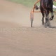 One Horse Harnessed to Sport Cart Run - VideoHive Item for Sale