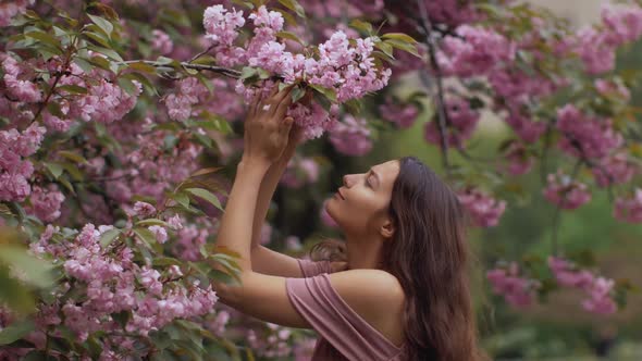 Woman at Blossoming Sakura Tree on Nature