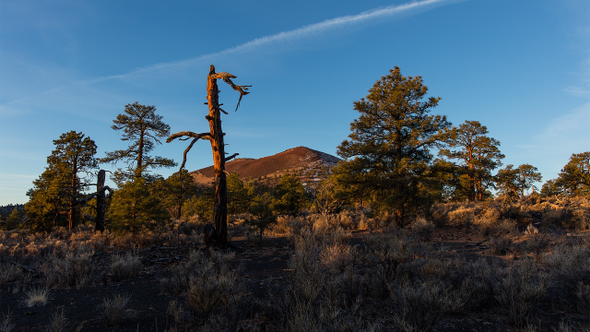 Sunset Crater Volcano National Monument - Sunrise Time-lapse