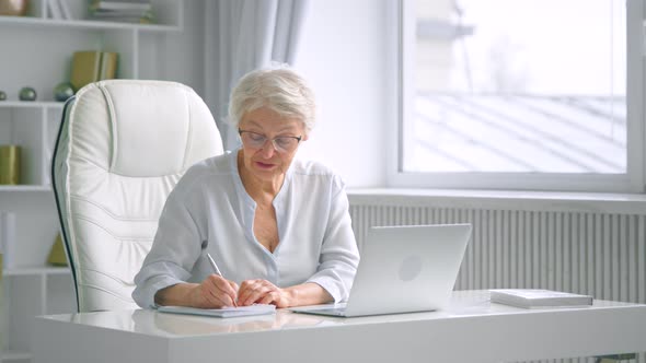 Smiling grey haired aged lady communicates via laptop