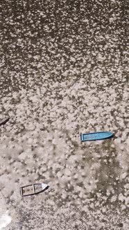 Vertical Video of Low Tide in the Ocean Near the Coast of Zanzibar Tanzania