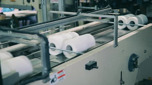 Toilet Paper Moving Along a Conveyor Belt at a Factory