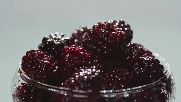 Juicy Sweet Blackberry