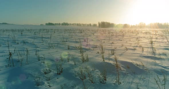 Aerial Drone View of Cold Winter Landscape with Arctic Field, Trees Covered with Frost Snow and