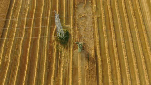 Aerial View of the Combine Machine Harvesting Golden Ripe Wheat on the Fields