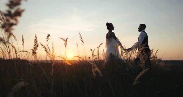 Stylish Millennial Bride and Groom Are Walking Along Spikelet Field in the Evening Autumn Against