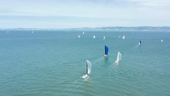 Sailing Regatta Competition in Green San Francisco Bay Waters Sunny Summer Day