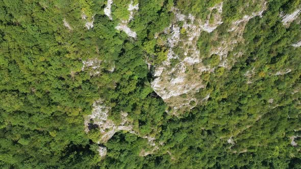 Flying Above Limestone Cliffs and Deciduous Forest. Aerial View