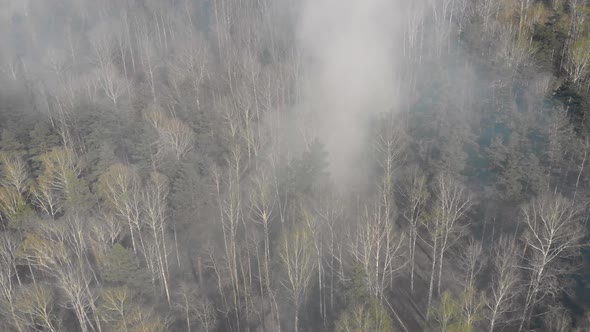 Aerial View Smoke of Wildfire