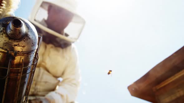 Beekeeper smoking the honeycomb of a beehive using a hive smoker