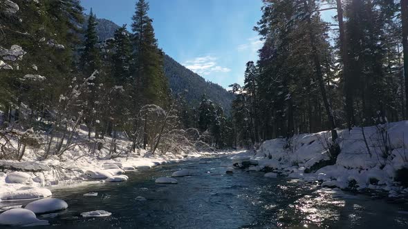 Beautiful Snow Scene Forest in Winter