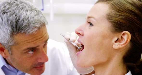 Dentist examining a patient