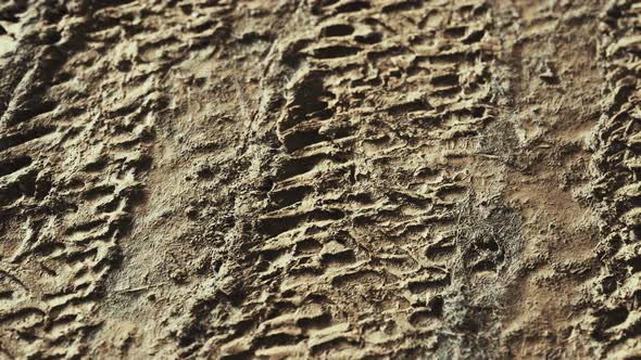 Wheel Tracks on Rough Road