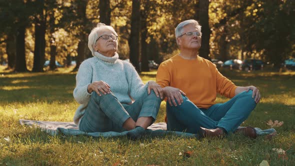 Portrait of Happy Senior Couple Meditating in Autumn Park