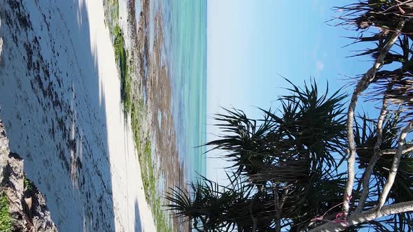 Vertical Video Empty Beach on Zanzibar Island Tanzania Aerial View