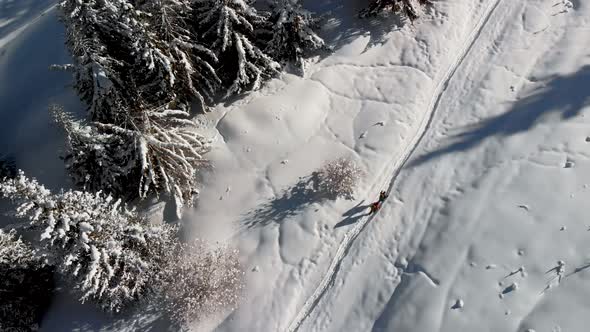 Aerial Landscape of Beautiful Winter Mountains