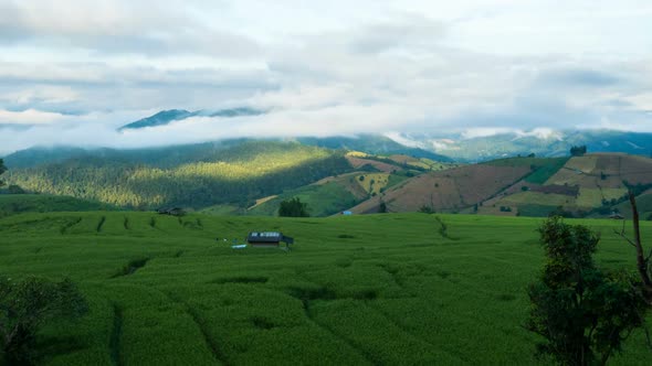 Rice Field In Mountain