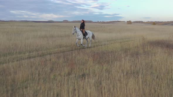 Young Happy Woman Riding a White Horse on the Road