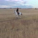 Young Happy Woman Riding a White Horse on the Road - VideoHive Item for Sale