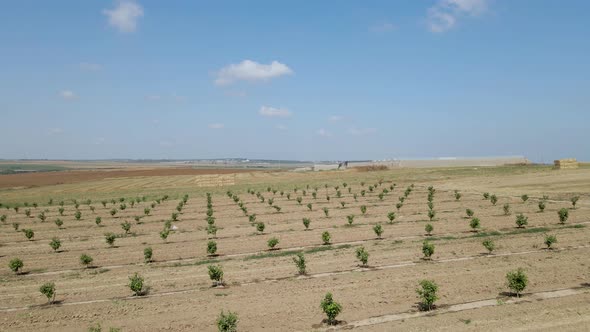 Yachini Village Fields At Israeli Southern Settlements Sdot negev