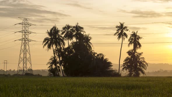 Timelapse orange sunrise over coconut tree